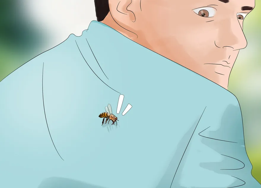 Comment échapper aux abeilles tueuses