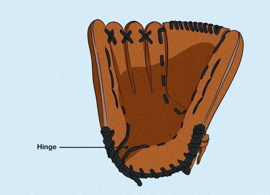 Comment mesurer un gant de baseball : Positions, tableaux des tailles, etc.