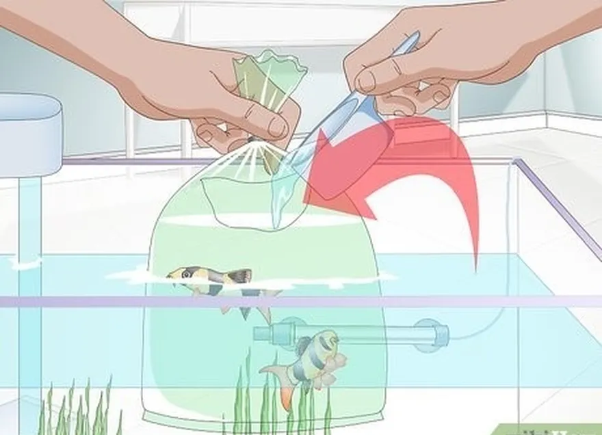 étape 4 ajoutez de l'eau dans le sac toutes les 4 minutes.