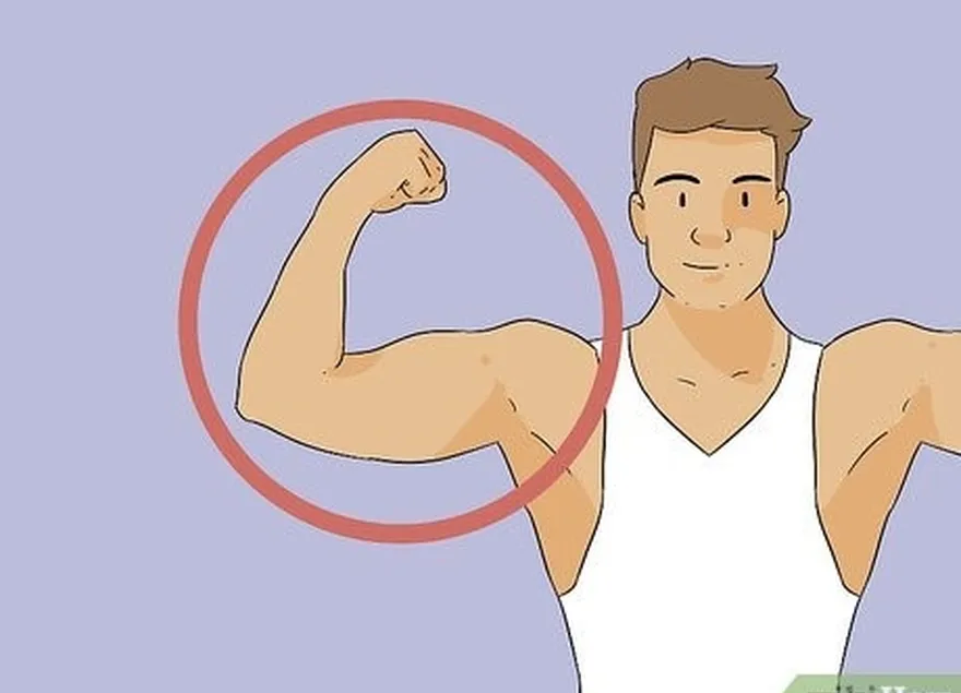 étape 2 identifiez les muscles spécifiques que vous souhaitez développer.