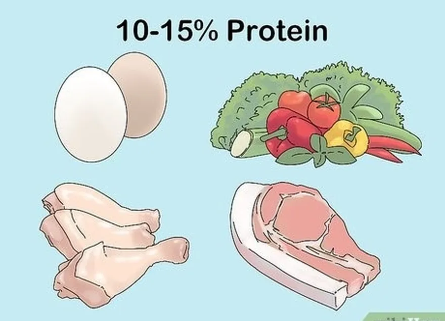 étape 2 : consommez des protéines pour 10 à 15 % de vos calories quotidiennes.