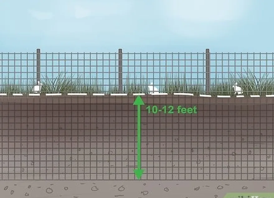 étape 1 installer une clôture pour empêcher les lapins d'entrer.