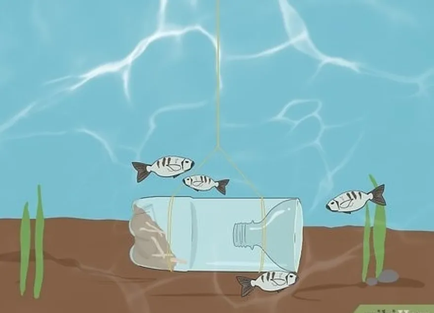 attraper des poissons sans canne à pêche étape 9.jpeg