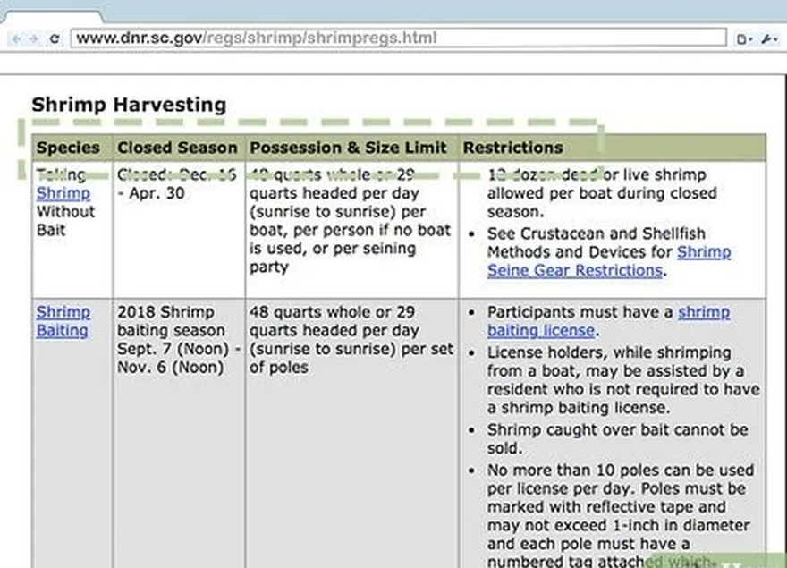 étape 3 vérifiez en ligne pour connaître l'état dans lequel vous vous trouvez's shrimp catching regulations.