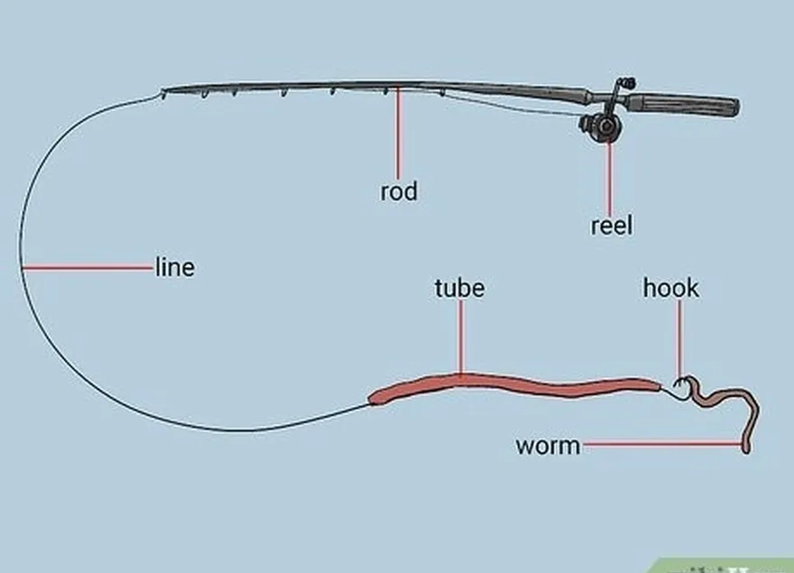 étape 2 basculer le tube's hook with a live sandworm or herring strip.