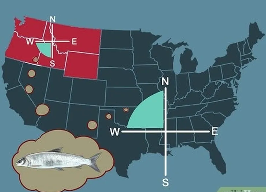 étape 1 se rendre dans le nord-ouest des états-unis ou le sud-ouest du canada pour pêcher le corégone.