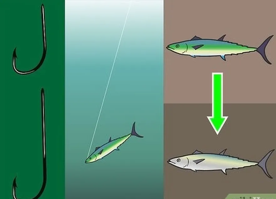 étape 3 utilisez un hameçon à tige courte pour sa solidité et un hameçon à tige longue pour faciliter le retrait de l'hameçon du poisson.