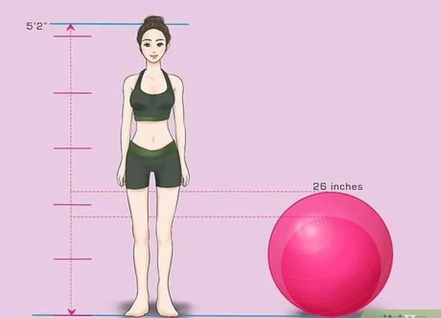 étape 3 choisissez un ballon plus grand si vous avez des problèmes de dos, de longues jambes ou pour des exercices d'étirement et de yoga.