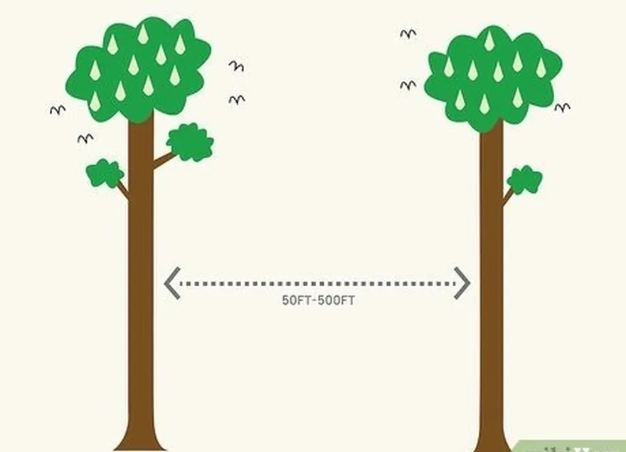 étape 1 choisissez une distance entre deux objets solides, de préférence des arbres ou d'autres structures solides.