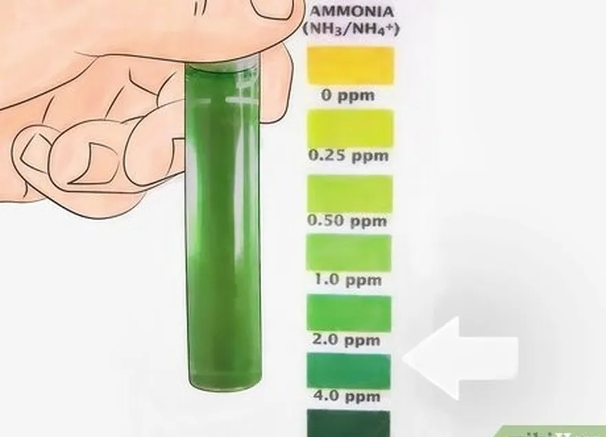 étape 4 essayez de maintenir le niveau d'ammoniaque à environ trois ppm.