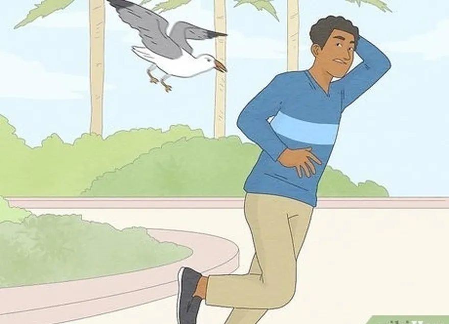 étape 3 levez les bras pour protéger votre tête si une mouette commence à vous attaquer en piqué.