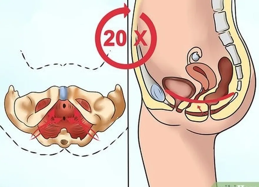 étape 2 fléchissez le muscle pc 10 fois.