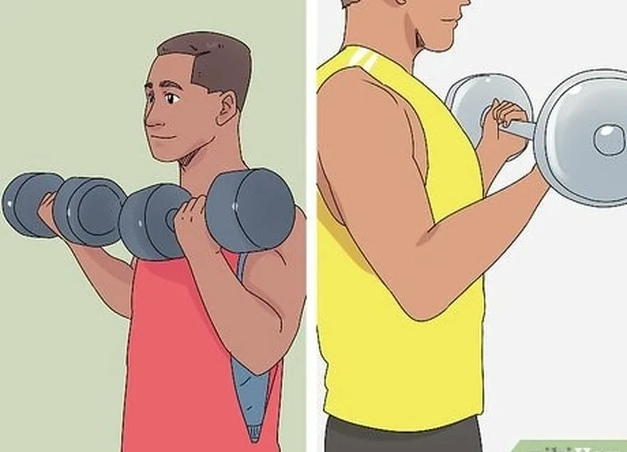 étape 6 faites des flexions des biceps avec des haltères ou des barres si vous voulez vous concentrer sur vos biceps.