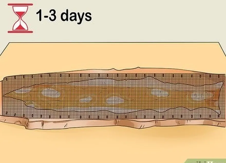 étape 2 laissez sécher la peau de serpent pendant 1 à 3 jours.