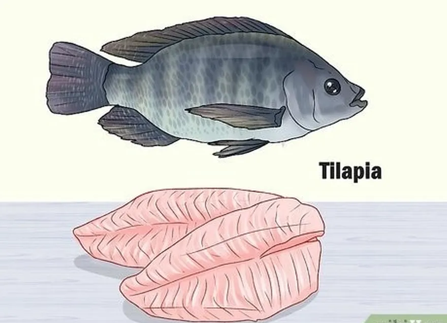 étape 1 mangez de la morue ou du tilapia si vous voulez des protéines pauvres en graisses.