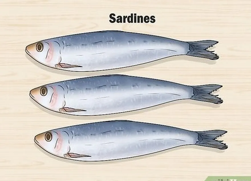 étape 3 consommez des sardines ou des anchois si vous souhaitez un en-cas salé rapide.