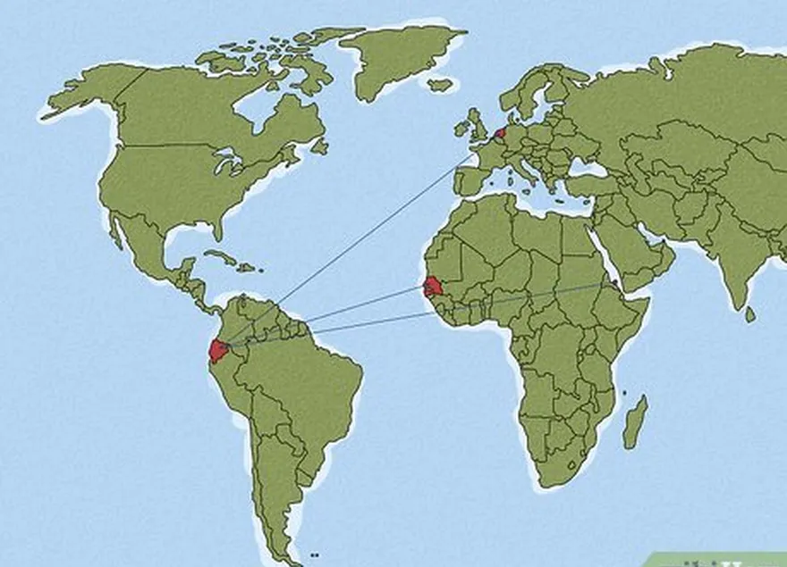 étape 2 comprendre le déroulement de la coupe du monde.