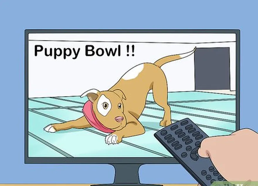 étape 6 regardez le puppy bowl avant le match.