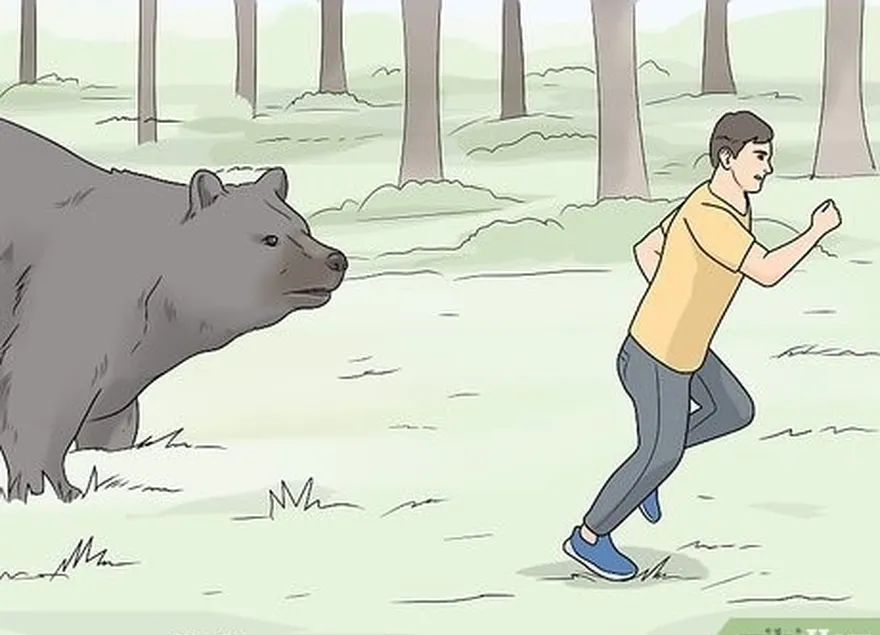 étape 6 : courez si vous êtes attaqué par un ours're attacked by a black bear.