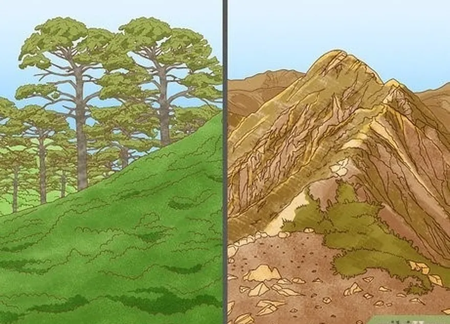 les collines et les crêtes étaient des lieux de campement courants.