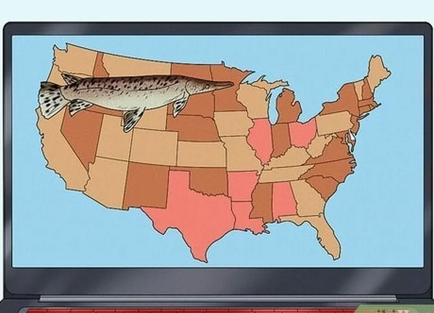 étape 1 dirigez-vous vers le sud des états-unis.