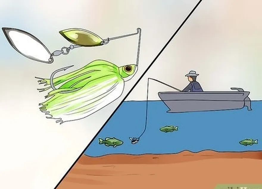 étape 2 pêchez avec des spinnerbaits lorsque vous souhaitez pêcher à travers une couverture rapide.