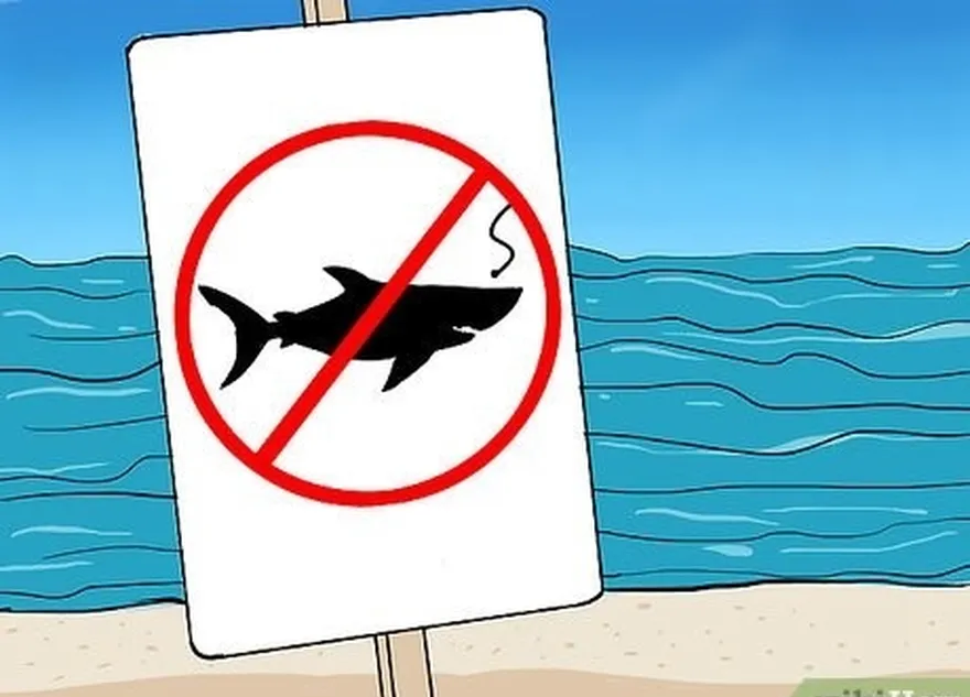 étape 2 renseignez-vous sur les réglementations locales concernant la pêche au requin dans votre région.