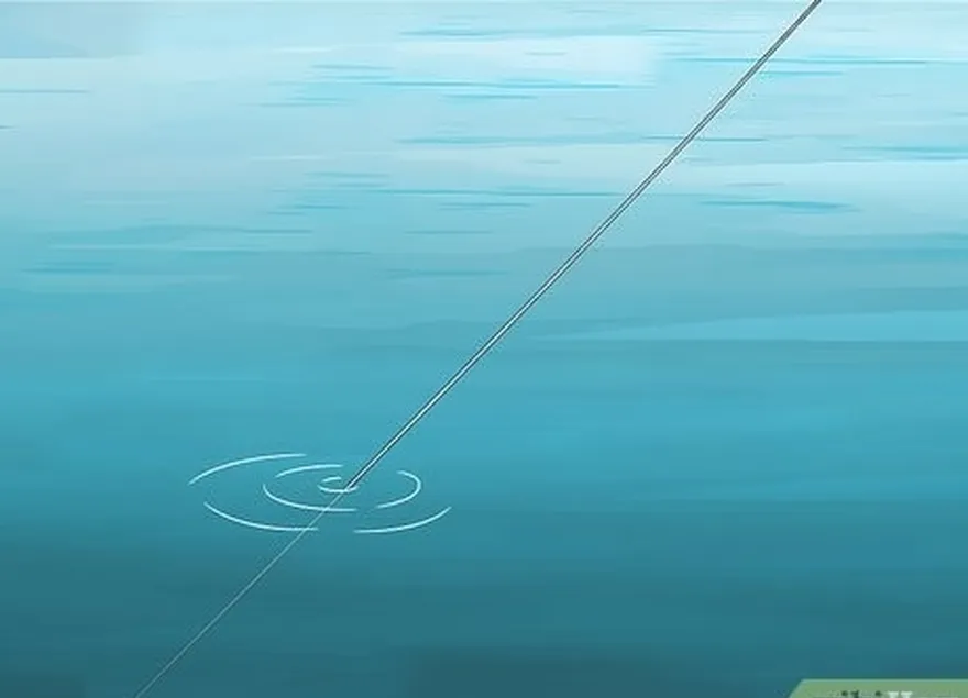 étape 1 surveillez le mouvement de la ligne de pêche.