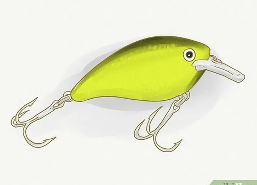 étape 4 essayez un leurre de type 'crankbait'.