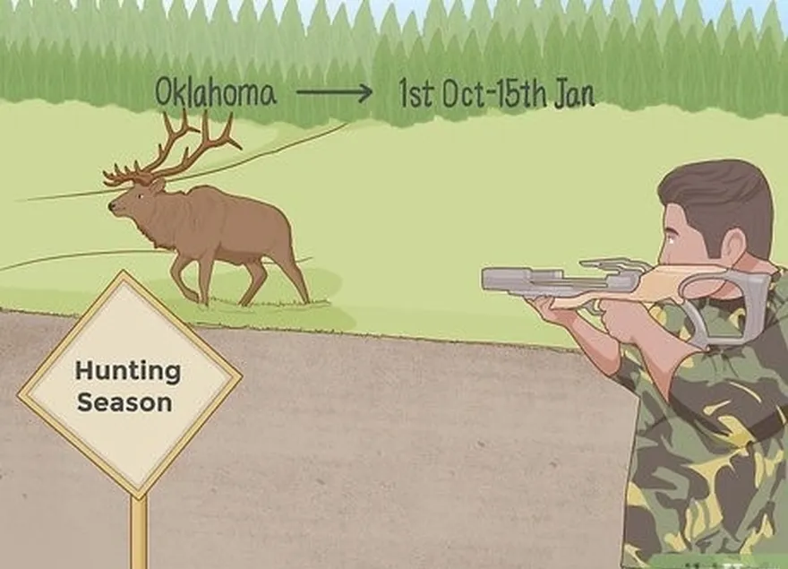 étape 1 chassez uniquement pendant la saison désignée.