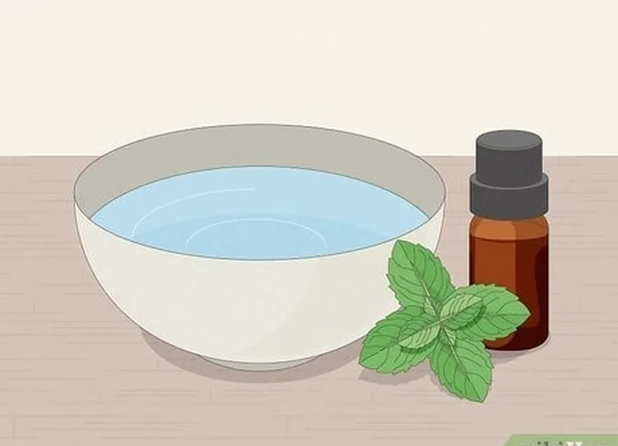 étape 3 préparez un bol d'eau infusée à l'huile de menthe poivrée.