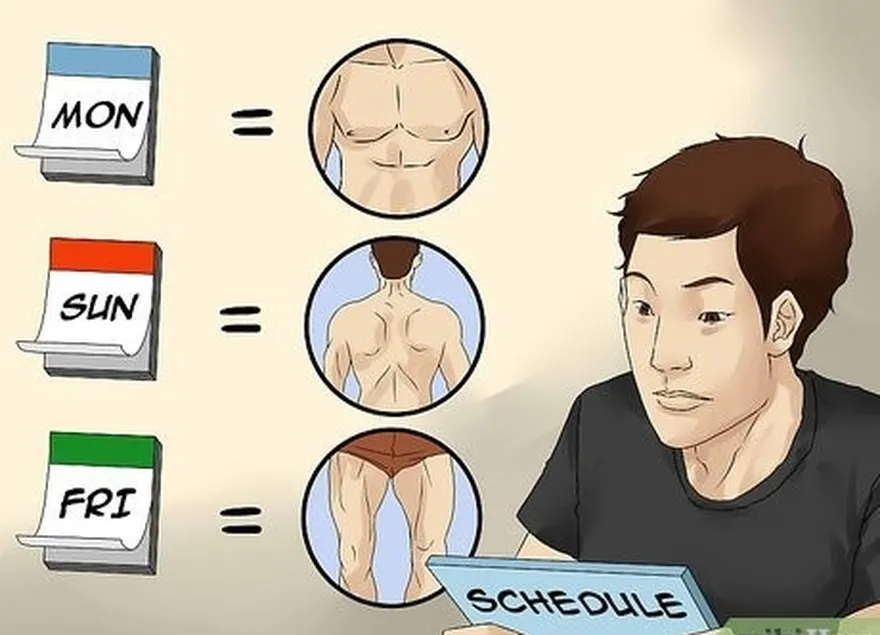 étape 3 structurez votre programme de musculation selon un horaire fractionné.