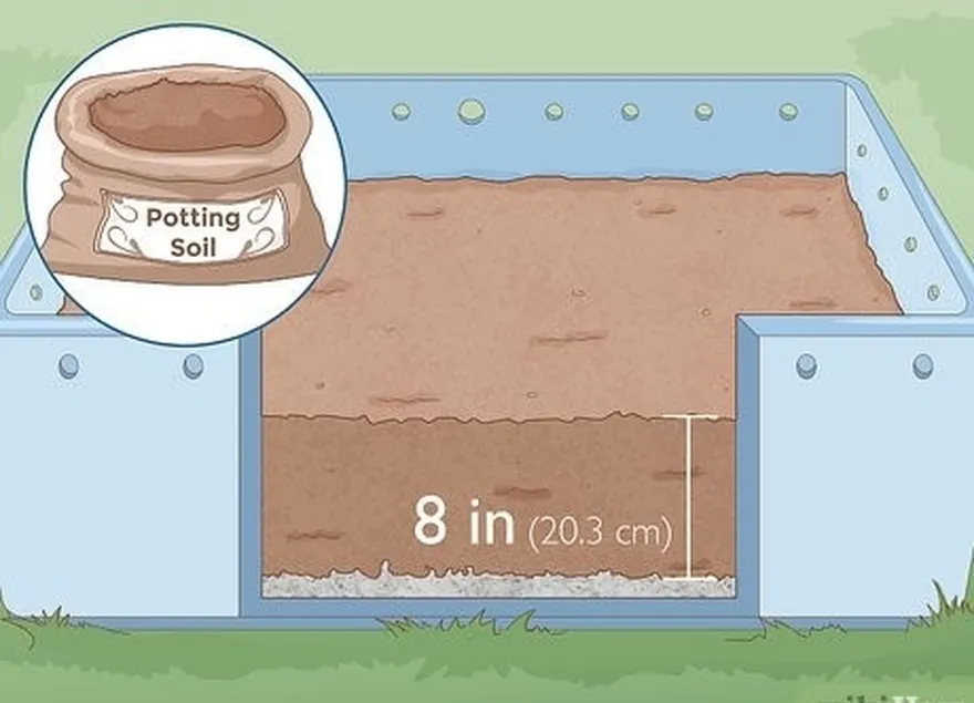 étape 5 : recouvrez votre litière de 7,6 à 20,3 cm de terreau.