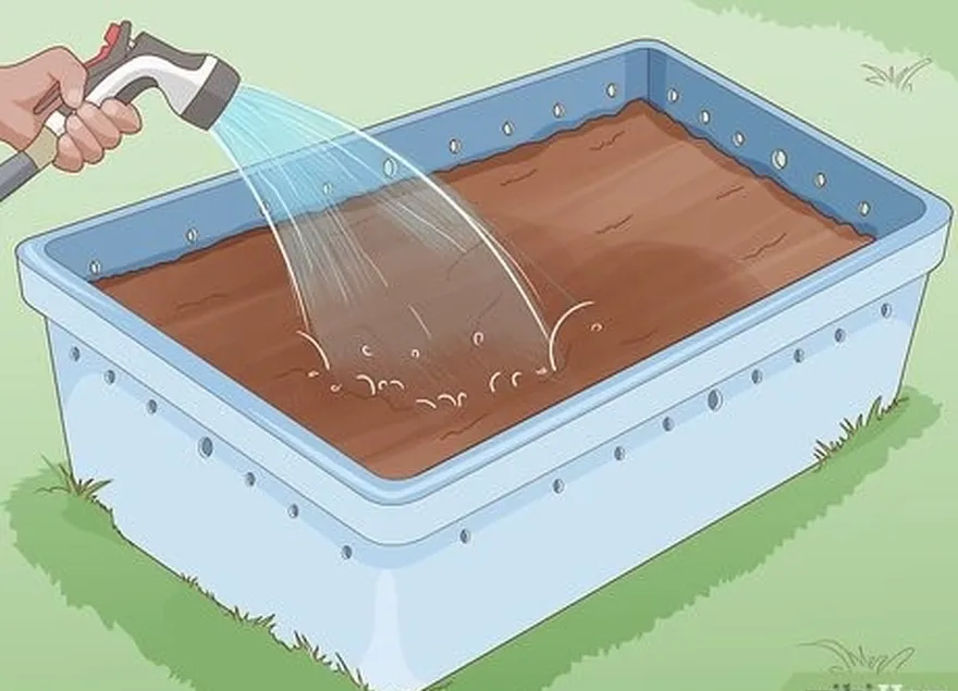 étape 6 ajoutez juste assez d'eau au sol pour l'humidifier complètement.