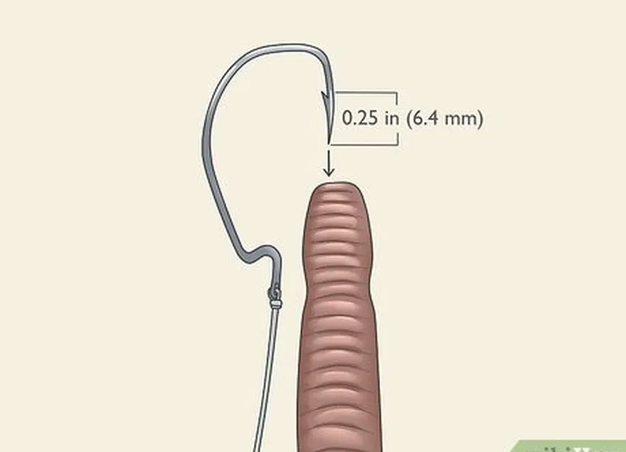 étape 1 insérez 6,4 mm de la pointe de l'hameçon dans la tête du ver.