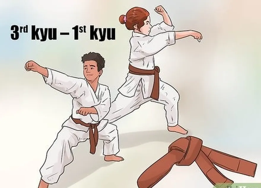 étape 4 achever la progression du kyu avec la ceinture marron.