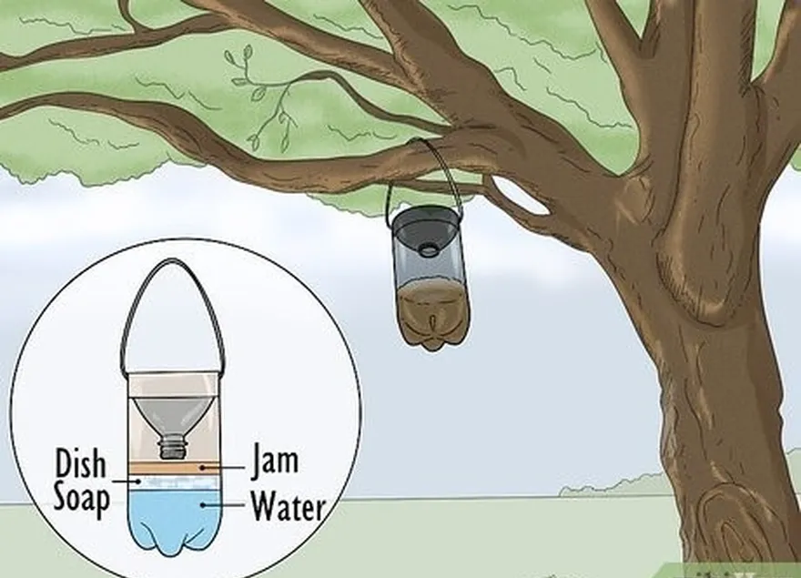 étape 1 fabriquez un piège à frelons avec une bouteille de soda de 2 litres et de la confiture.