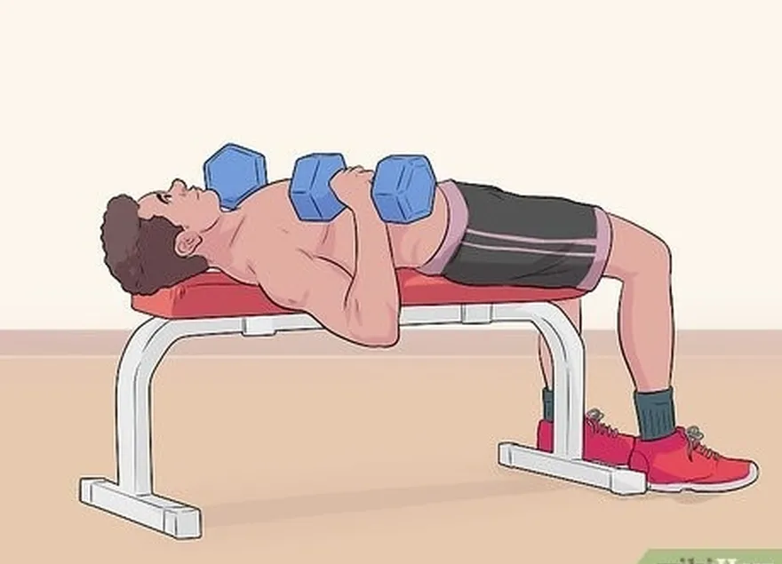 étape 1 effectuez un développé couché avec haltères pour faire travailler vos muscles pectoraux.