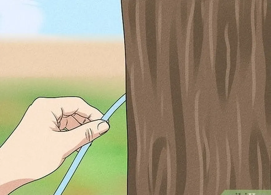 étape 6 ancrer le stand en attachant l'extrémité libre de la corde à un arbre.