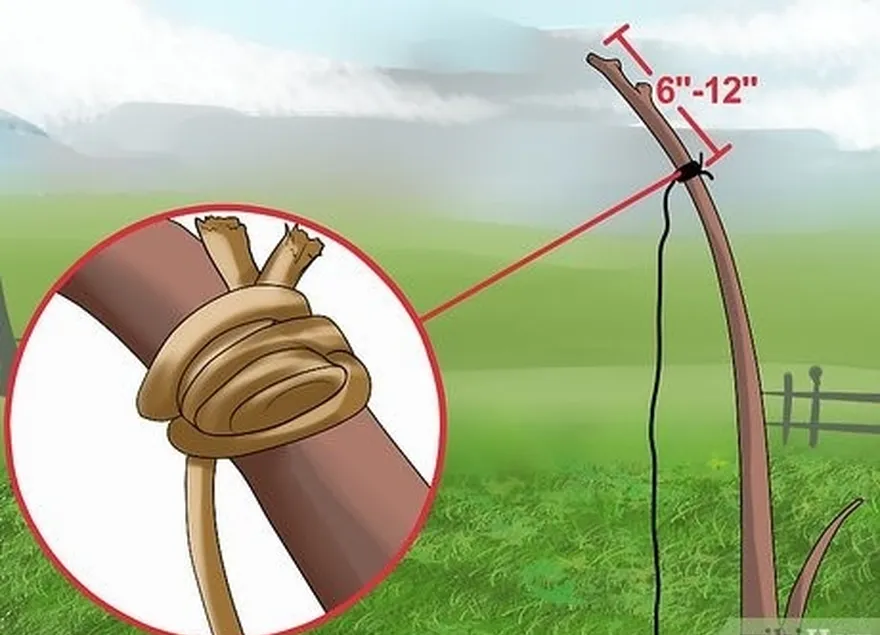 étape 3 attachez votre corde autour d'un jeune arbre pliable.