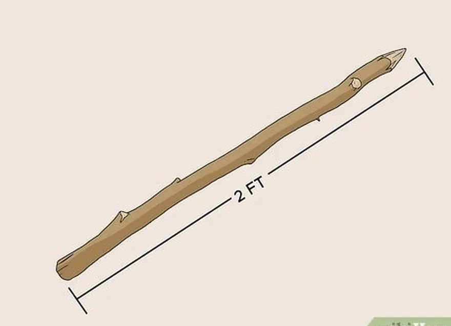 étape 6 affûter l'extrémité d'un bâton de base de 2 pieds (0,61 m).