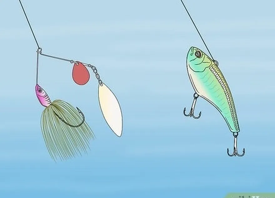 étape 7 en cas de doute, choisissez un spinnerbait ou un crankbait.