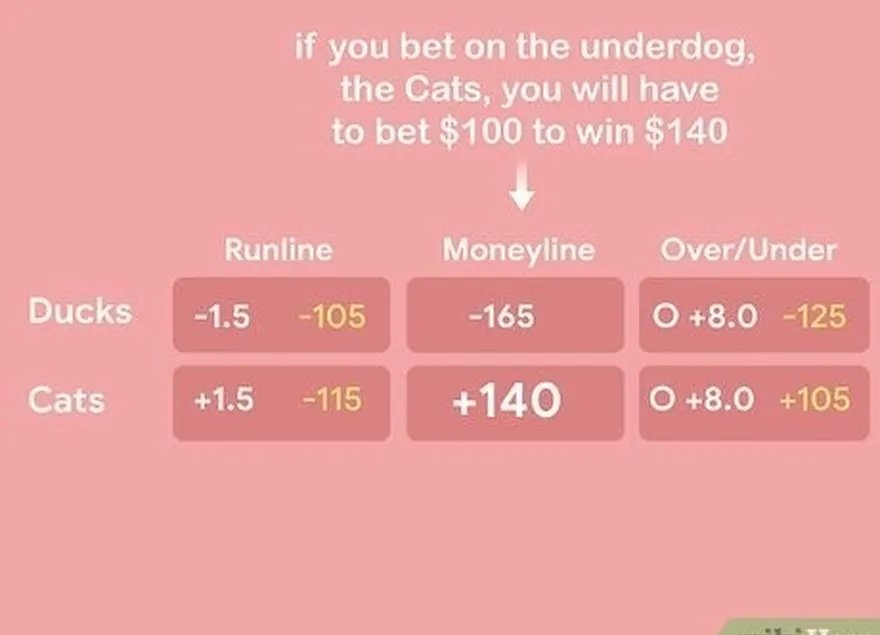 étape 3 misez 100 usd pour gagner le montant indiqué pour l'outsider.