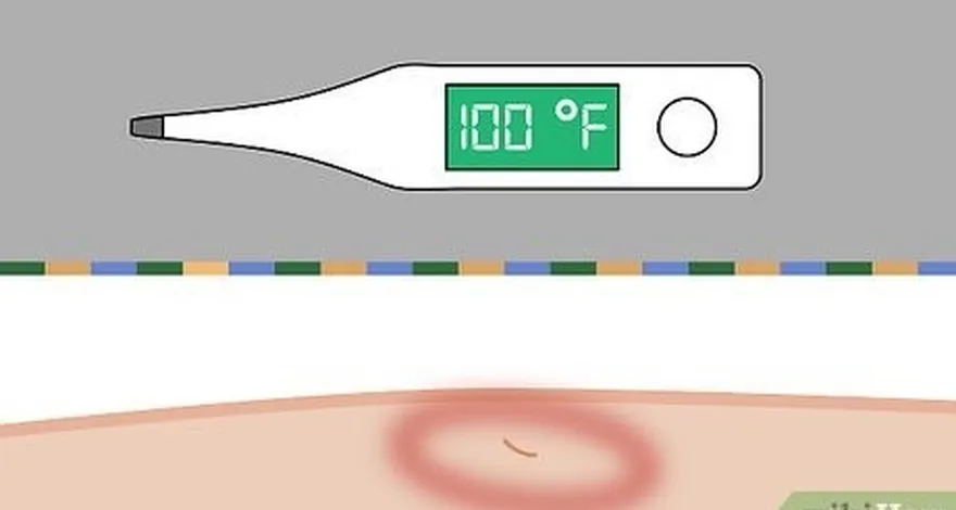 étape 3 vérifiez l'absence de symptômes sur le site de la blessure.