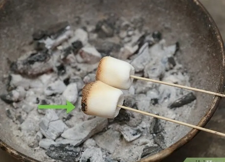 étape 6 attendez-vous à du charbon de bois si vous mettez la guimauve directement dans le feu.