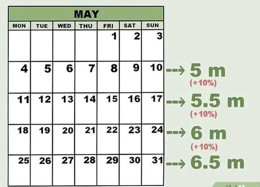 étape 3 augmentez la distance de vos courses de 10 % chaque semaine.