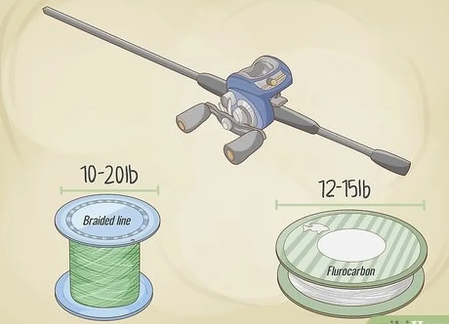 étape 4 utiliser du fil en fluorocarbone ou tressé avec un moulinet et une canne à pêche à lancer.