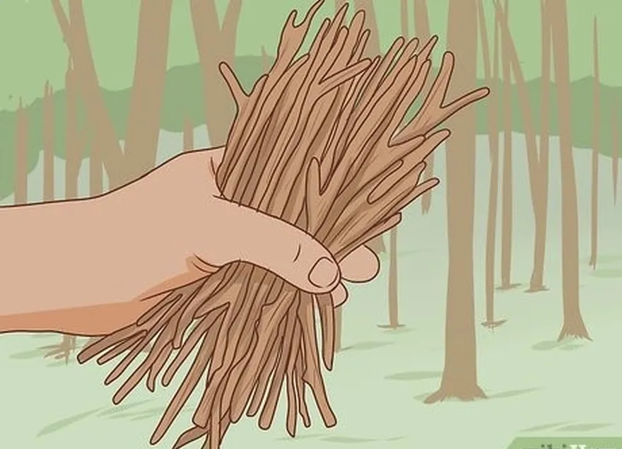 étape 2 rassemblez de petites brindilles et des branches que vous utiliserez comme bois d'allumage.