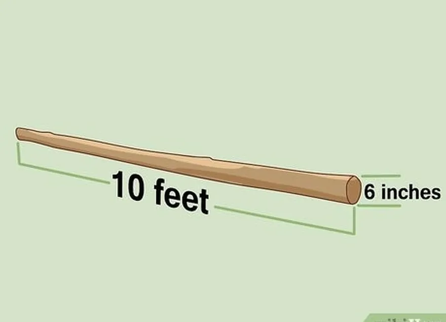 étape 2 trouvez une branche de 3 mètres de long et de 7,6 à 15,2 cm d'épaisseur.