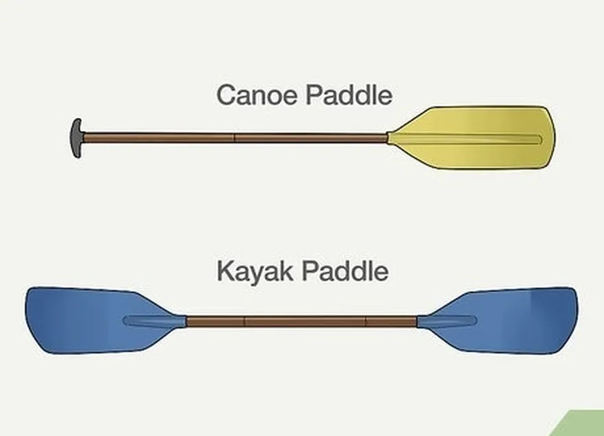 étape 5 notez les différences entre les pagaies.